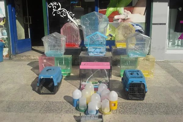 Mavi Tuna Pet Shop - Resim 14
