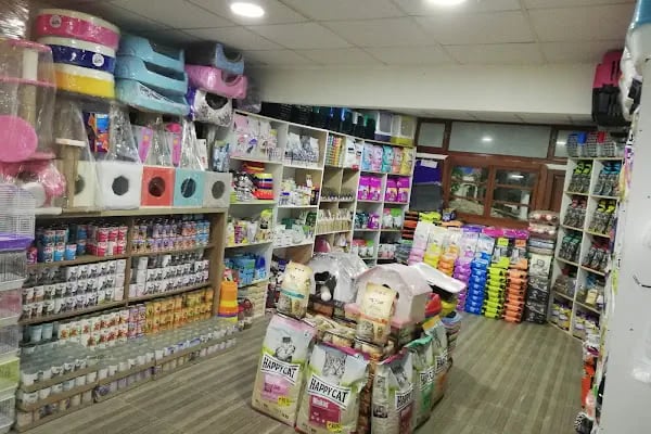 Mavi Tuna Pet Shop - Resim 18