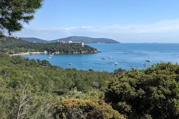 Deniz Lisesi ve Heybeliadalılar Derneği Ormanı - Resim 1