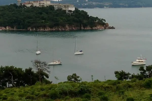 Deniz Lisesi ve Heybeliadalılar Derneği Ormanı - Resim 4