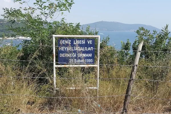 Deniz Lisesi ve Heybeliadalılar Derneği Ormanı - Resim 9