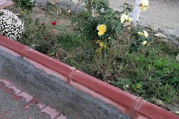Uzm.Psk. Dan. Psikoterapist Abdurrahman çavdar - Resim 6