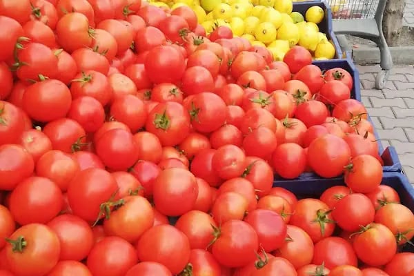 Irmaklar Market - Resim 6