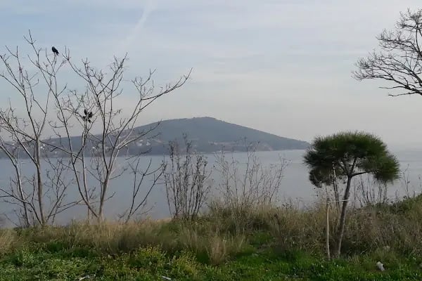 Göksuyu Tatil Kampı - Resim 16