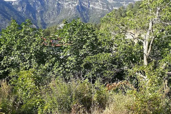Alanya Belediyesi - Resim 16