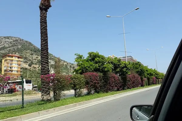 Alanya Belediyesi - Resim 5