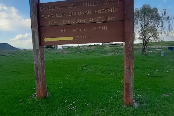 Kubadabad Sarayı Harabeleri - Resim 18