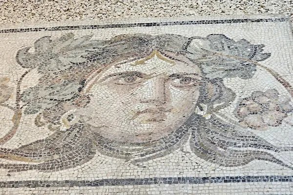 Zeugma Mozaik Müzesi - Resim 20