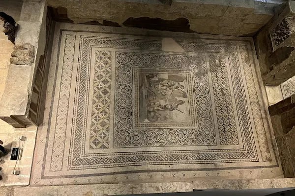 Zeugma Mozaik Müzesi - Resim 9