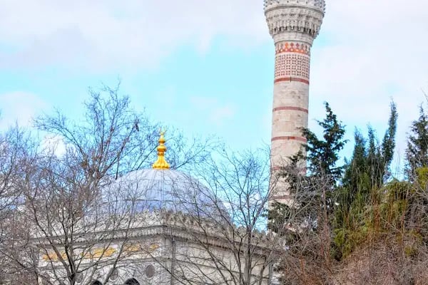 Sultan 2. Beyazıd Veli Türbesi - Resim 16
