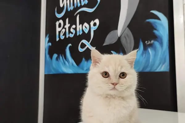 Yunus Petshop - Resim 5