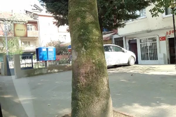 42 Evler Taksi Durağı - Resim 3