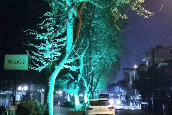 42 Evler Taksi Durağı - Resim 6