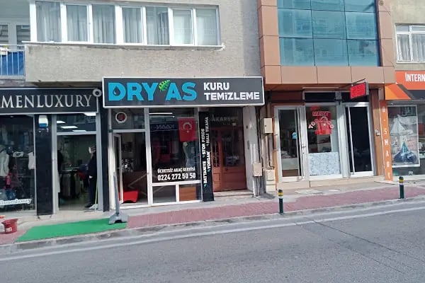 Dryas kurutemizleme - Resim 1