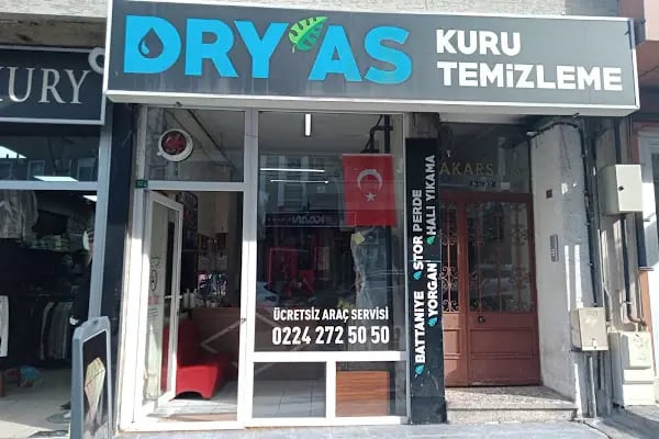 Dryas kurutemizleme - Resim 2