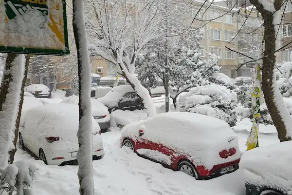 Çınaraltı Parkı - Resim 1
