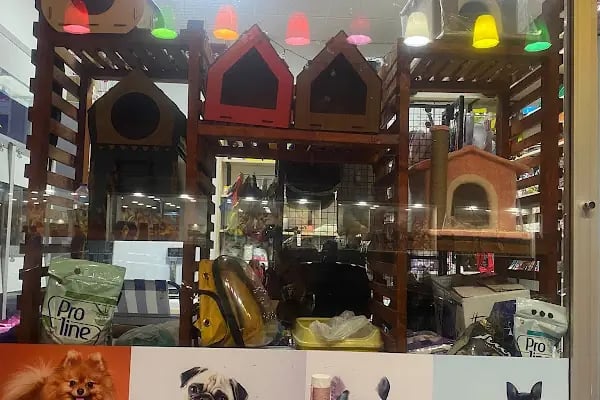 Nuhun Gemisi Petshop - Resim 7