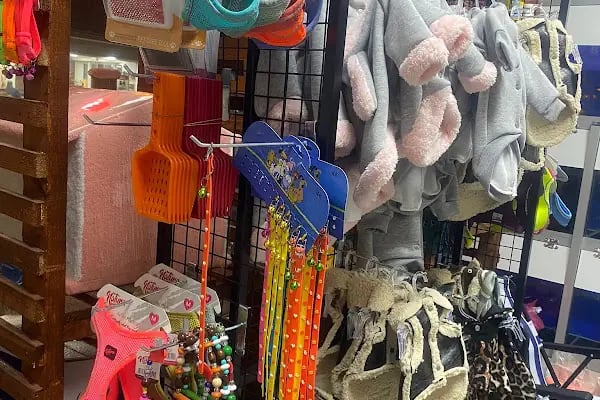 Nuhun Gemisi Petshop - Resim 4