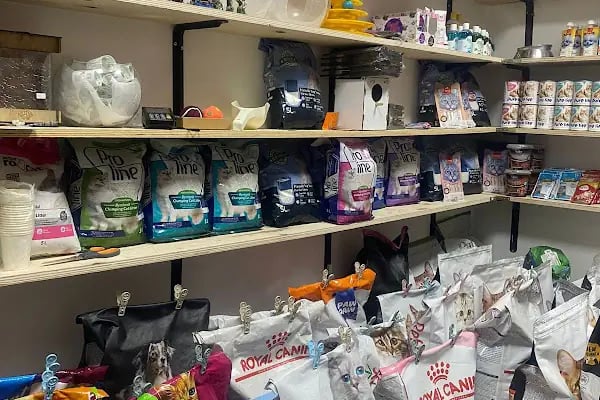 Nuhun Gemisi Petshop - Resim 2