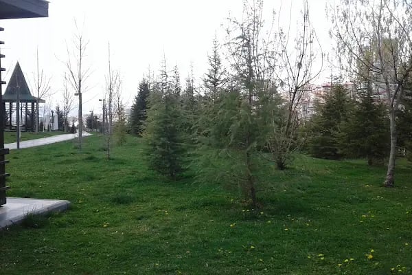 Kuşcağız Aile Yaşam Merkezi - Resim 16