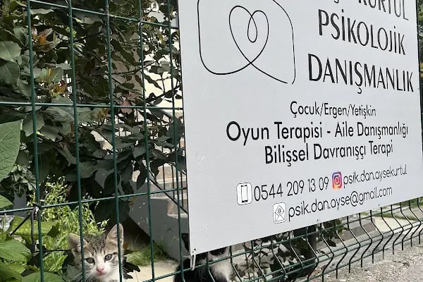 Ayşe Kürtül Psikolojik Danışmanlık - Resim 11