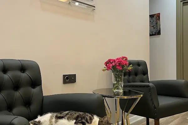 Ayşe Kürtül Psikolojik Danışmanlık - Resim 10