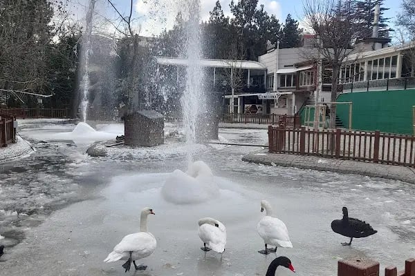 Kuğulu Park - Resim 13