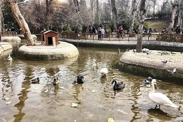 Kuğulu Park - Resim 2