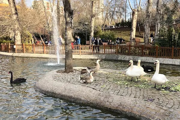 Kuğulu Park - Resim 8