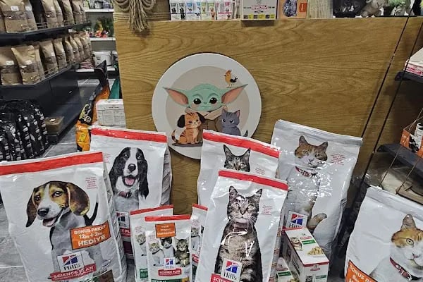 Yoda Petshop Yenikent - Resim 3