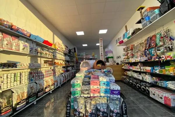 Yoda Petshop Yenikent - Resim 2