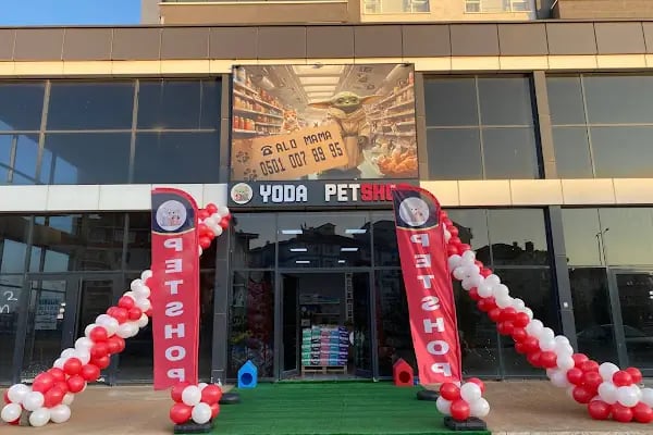 Yoda Petshop Yenikent - Resim 4