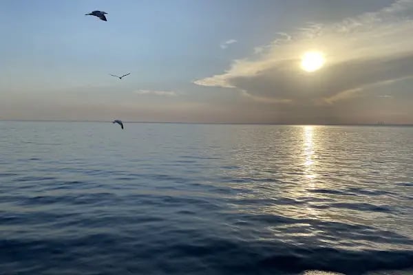 İDO Yenikapı Hızlı Feribot İskelesi - Resim 7
