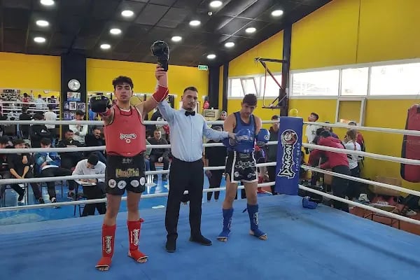 Kick boks Adana - Resim 15