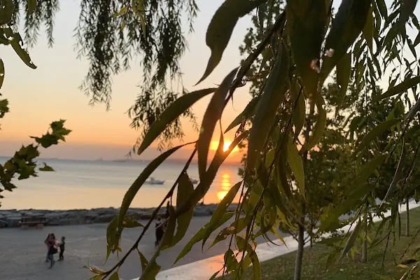 HUZUR BAHÇESİ TESİSLERİ WEDDİNG GARDEN - Resim 13