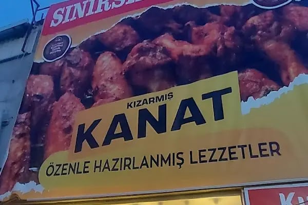 Büyük Kanatçı - Resim 4