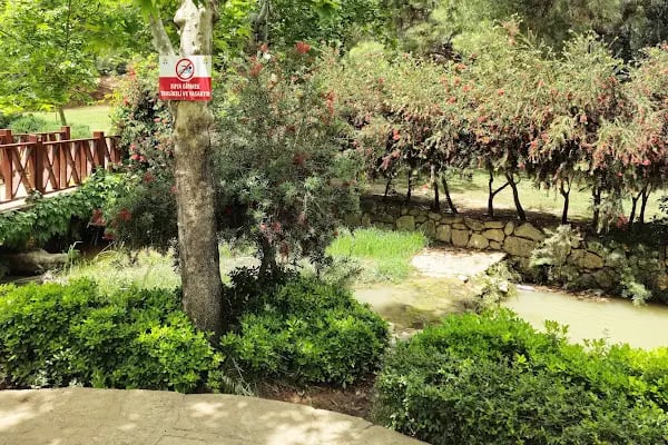Karapınar Parkı - Resim 18