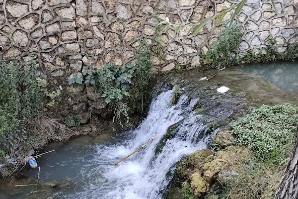 Karapınar Parkı - Resim 6