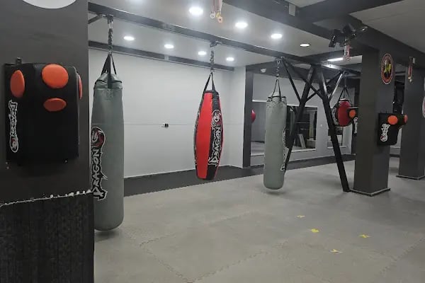 Siverek Dövüş Sanatları Okulu - Resim 7