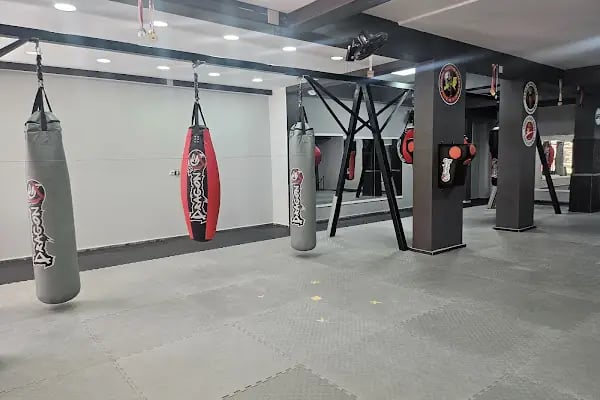 Siverek Dövüş Sanatları Okulu - Resim 3