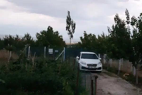 BELTAN ÇİFTLİĞİ - Resim 18