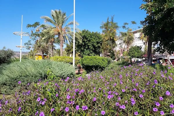 Oba Pansiyon | Alanya | Boş Oda | Aile Pansiyonu - Resim 14