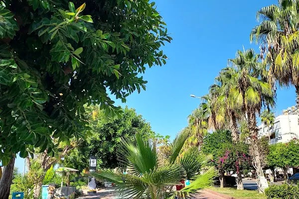 Oba Pansiyon | Alanya | Boş Oda | Aile Pansiyonu - Resim 15