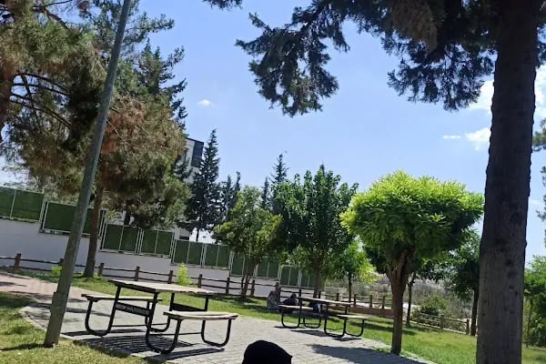Müslüm Avkan Parkı - Resim 5
