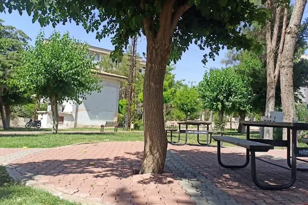 Müslüm Avkan Parkı - Resim 2
