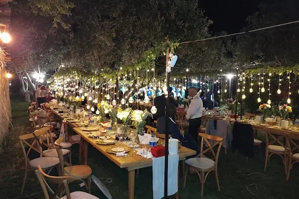 Balıkesir Bahar Çiçekçilik - Resim 2