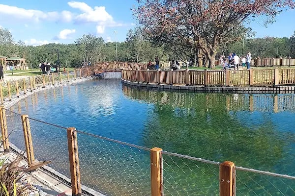 Tepe göl parkı - Resim 16