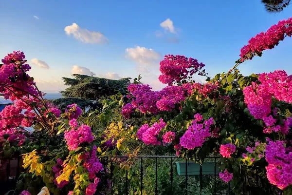 Burgaz Adası - Resim 12