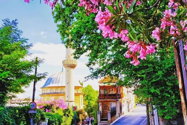 Burgaz Adası - Resim 16