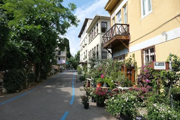 Burgaz Adası - Resim 19